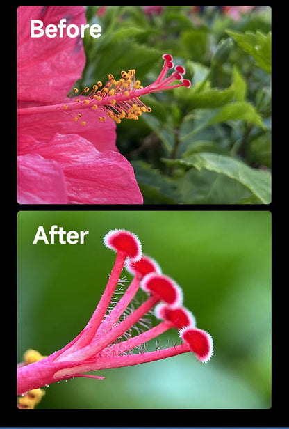 GetZget® 32X Ultra Macro Lens Kit For iPhone & Android | 40-90mm Pro Close-Up Lens with CPL Filter, Star Filter & Universal Clip
